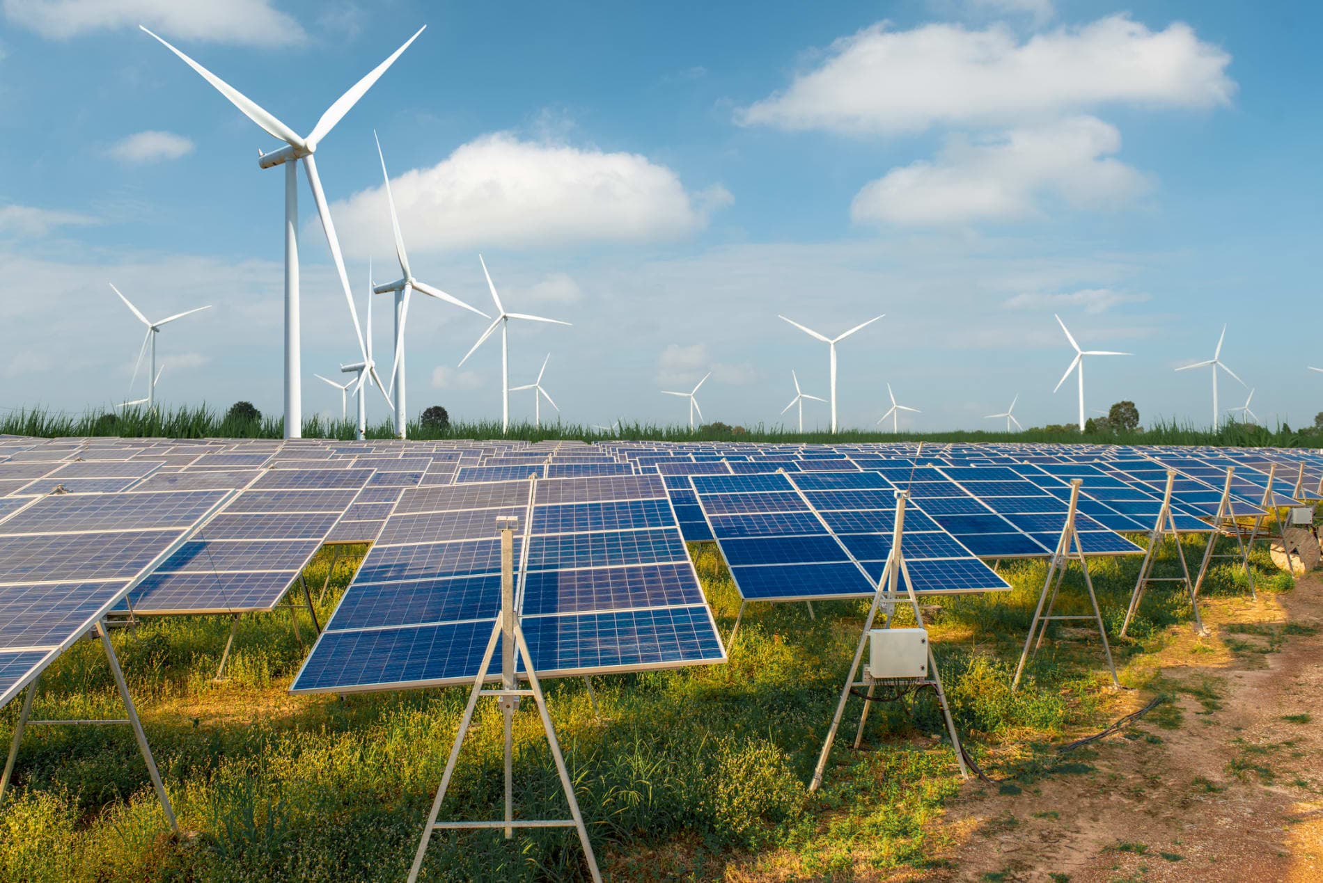 The Future of Renewable Energy in Business